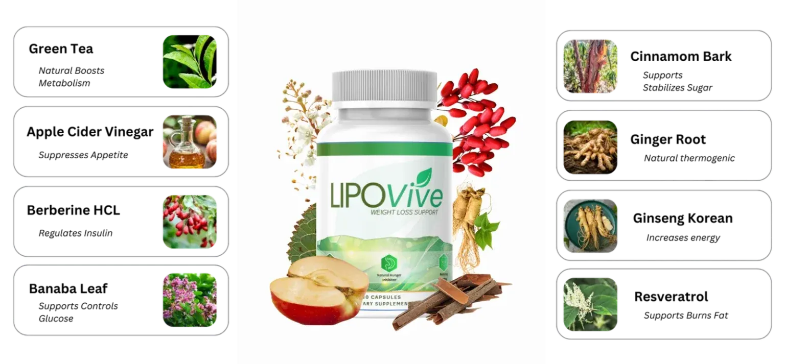 LipoVive ingredients